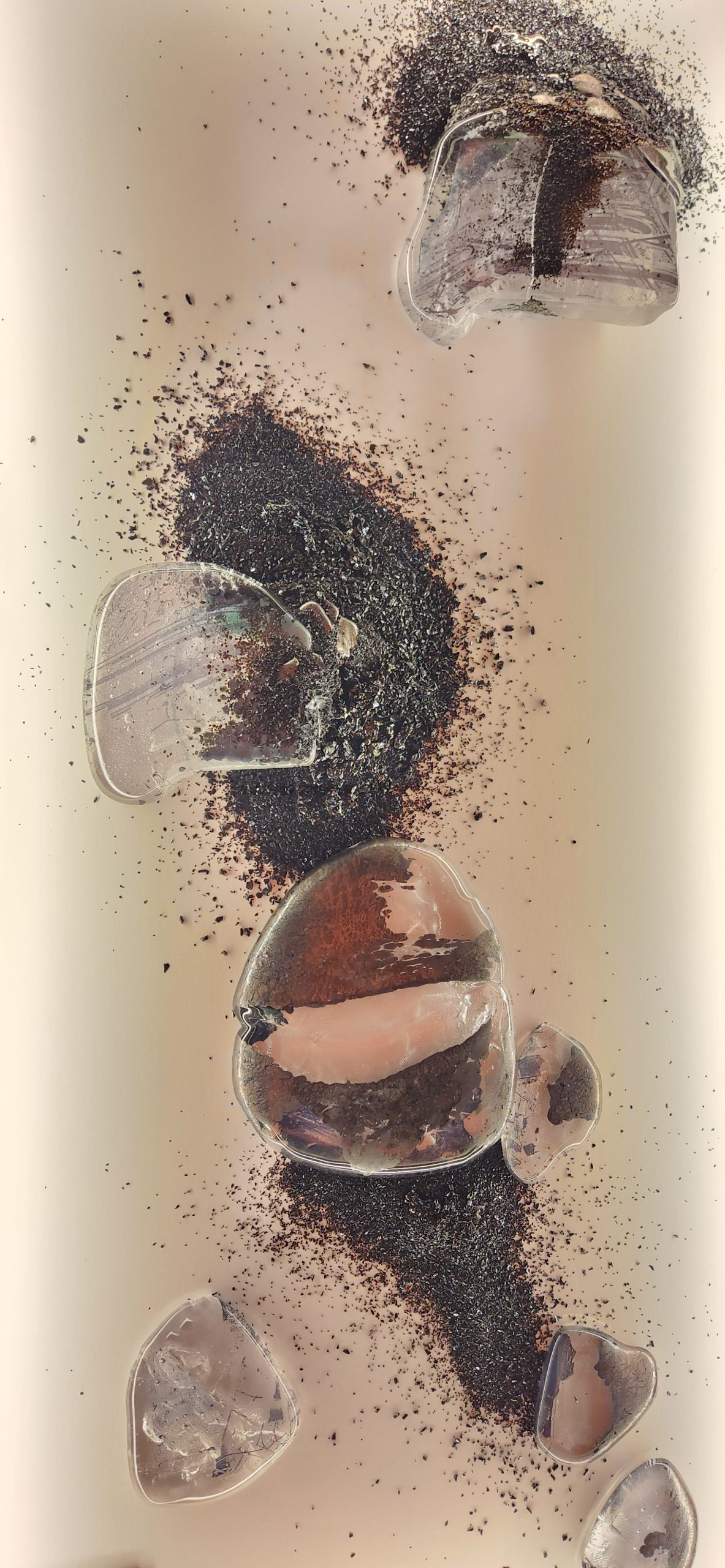 Guénaëlle de Carbonnières